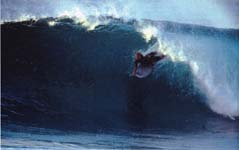 Off the Wall barrel